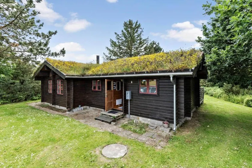 Maison de vacances avec terrasse et barbecue | Avec animaux bienvenus - Image 1