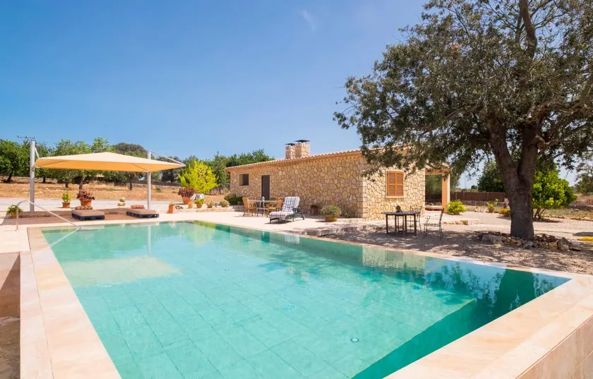 Villa with stone façade and pool — Villa Erdei de Buteasa y Preluca - Image 1