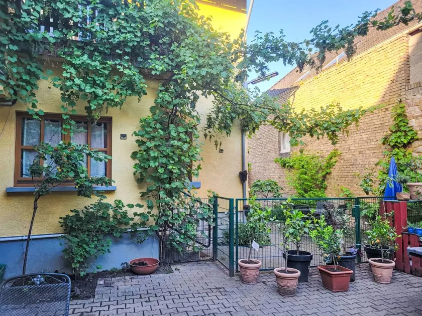 Wonderful apartment with garden & terrace | Pets allowed - Image 1