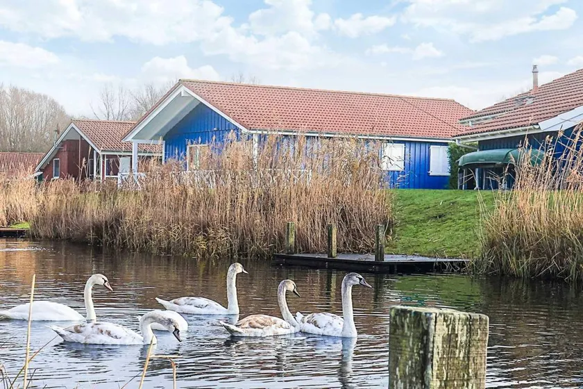 Ferienhaus mit Pool und Sauna | Haustiere erlaubt - Image 1