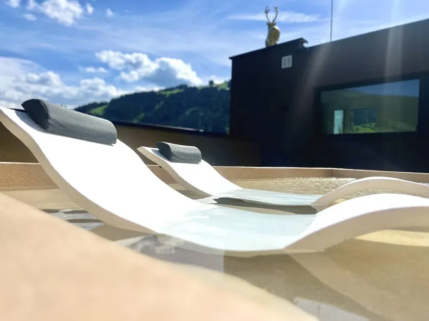Appart'hôtel avec sauna, terrasse et piscine | Idéal pour le télétravail - Image 1