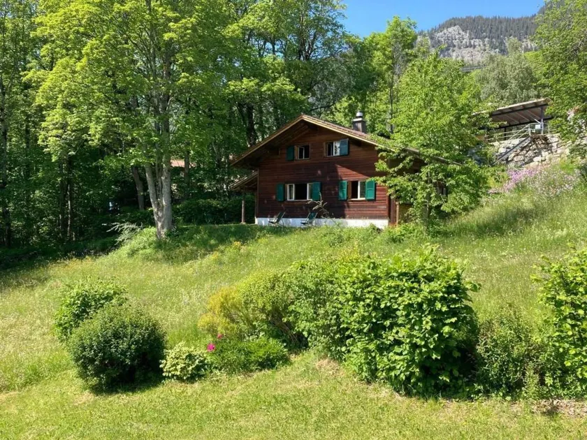 Wohnung mit Garten und Grill | Haustierfreundlich - Image 1