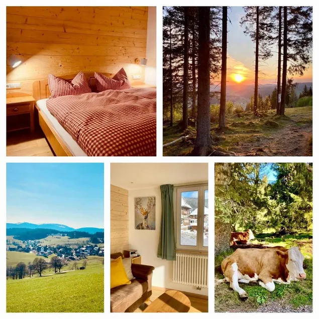 Ferienwohnung 'Gästehaus Steiert Fewo Kuhbergblick' mit Bergblick, Gemeinschaftsgarten und WLAN - Image 1