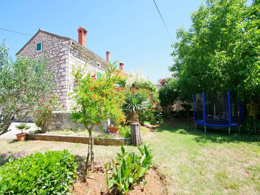 Ferienhaus mit Garten, Terrasse und Grill | Naturblick | Hunde erlaubt - Image 1
