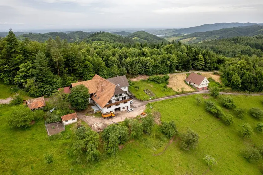 Appartamento accogliente e familiare con terrazza e giardino | Vista sul giardino | Ammette cani - Image 1
