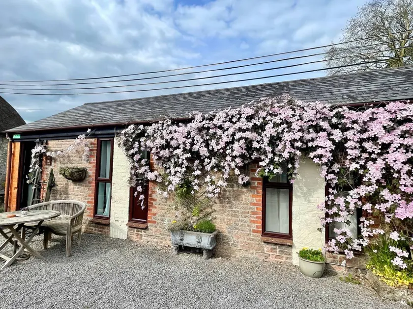 Cottage with pool & garden - Image 1