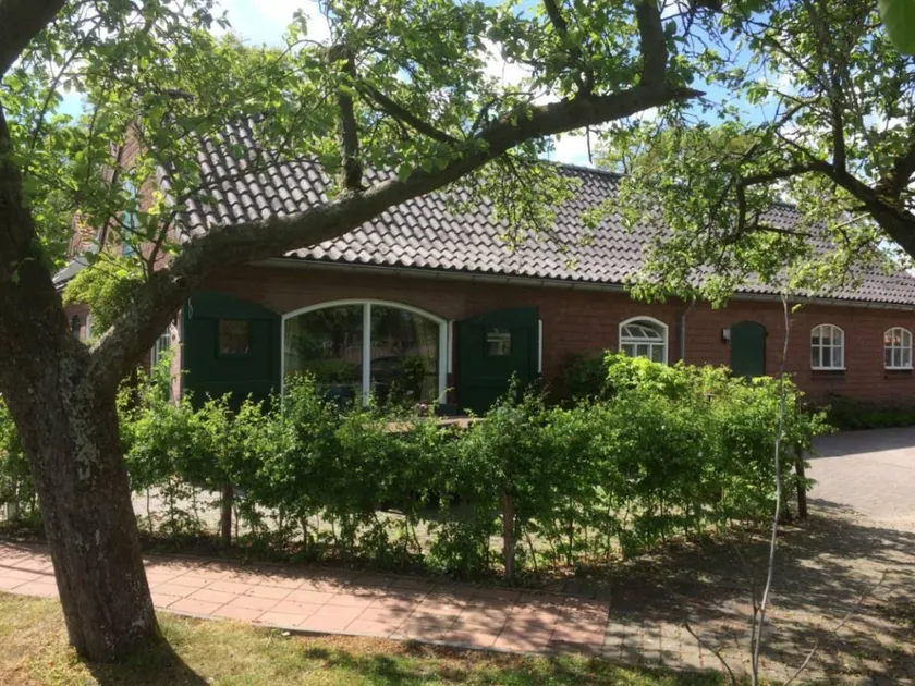Holiday home with garden, barbecue & terrace - Image 1