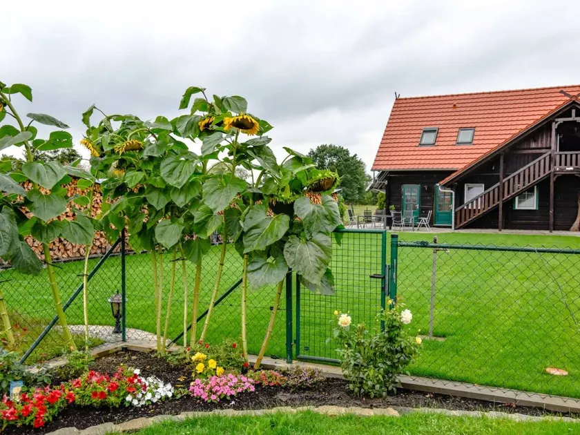Apartment with 2 bedrooms for 4 persons - Image 1