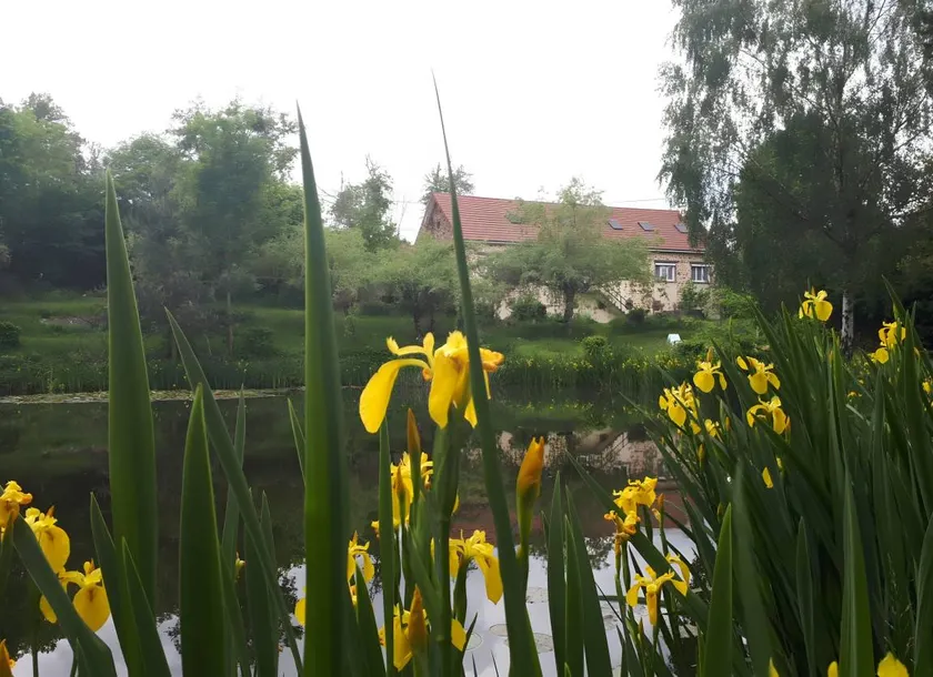 Charming cottage with hot tub, barbecue & garden | Garden view | Pet-friendly - Image 1