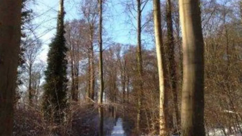 Suite für 6 Personen (60 m²) in Koserow (Seebad) - Image 1