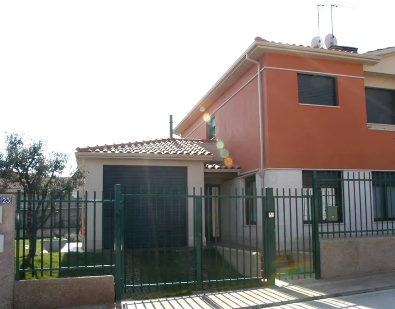 Caradenia - Image 1