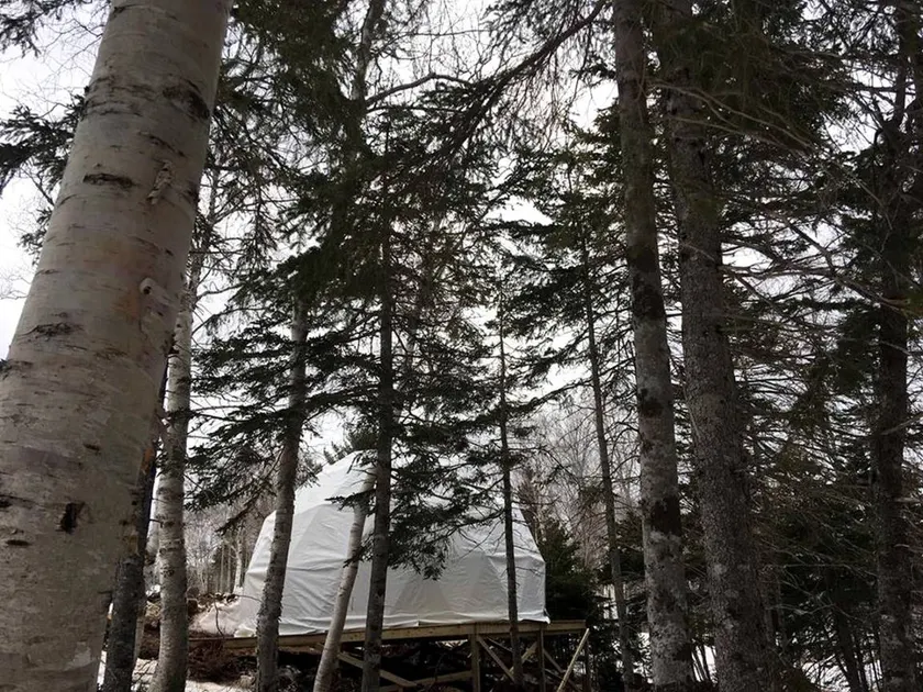 Charming Dome Rental in the Forest of Cape Breton Island, Nova Scotia - Image 1