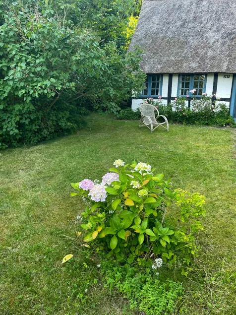 House with sauna, terrace & barbecue - Image 1