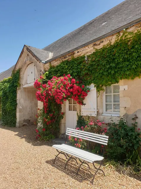 Children-friendly lovely studio with barbecue, garden & terrace | Garden view | Perfect for remote work | Dogs allowed - Image 1