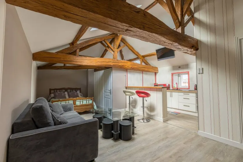 Maison de vacances avec jardin, barbecue et terrasse | Vue jardin - Image 1