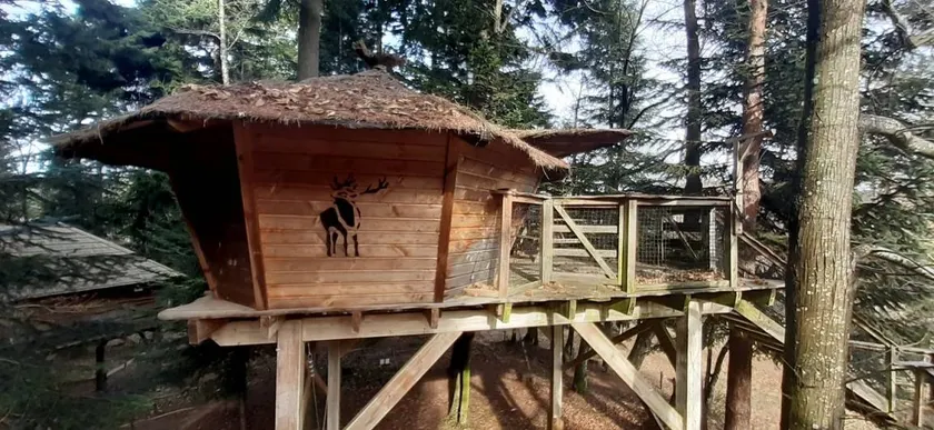 Cozy Tree House Rental in Secluded Setting near Valence, France - Image 1