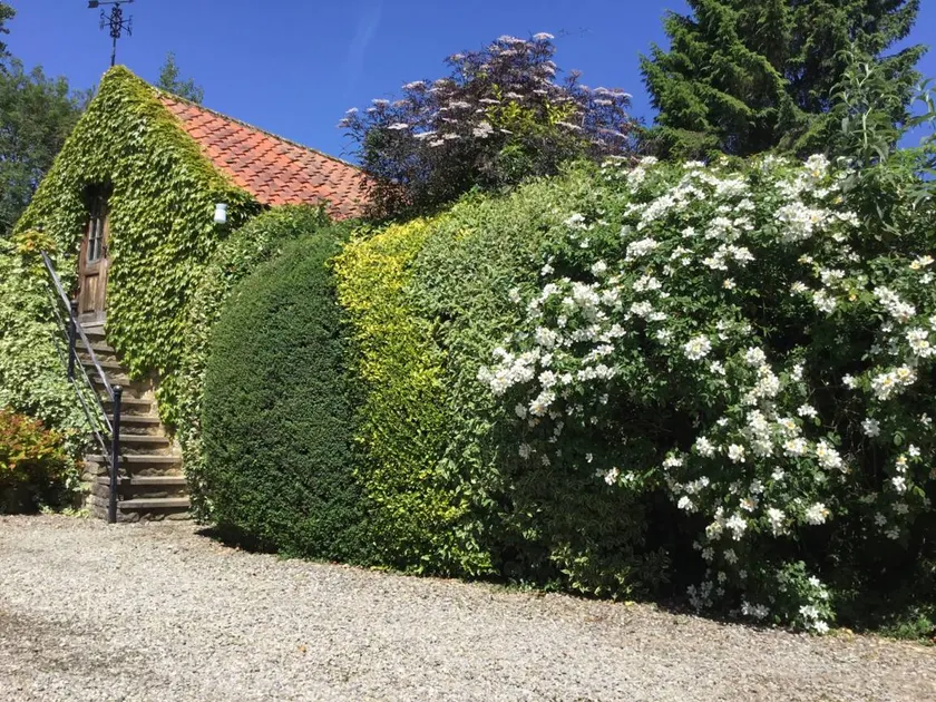 Beautiful cottage with garden & terrace - Image 1