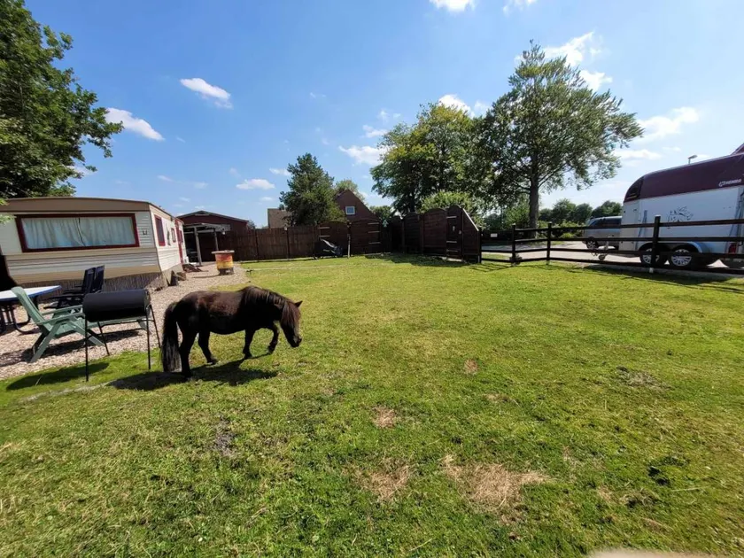 Dat Hotti Hus Campingflair, Komfort und Ponies - Image 1