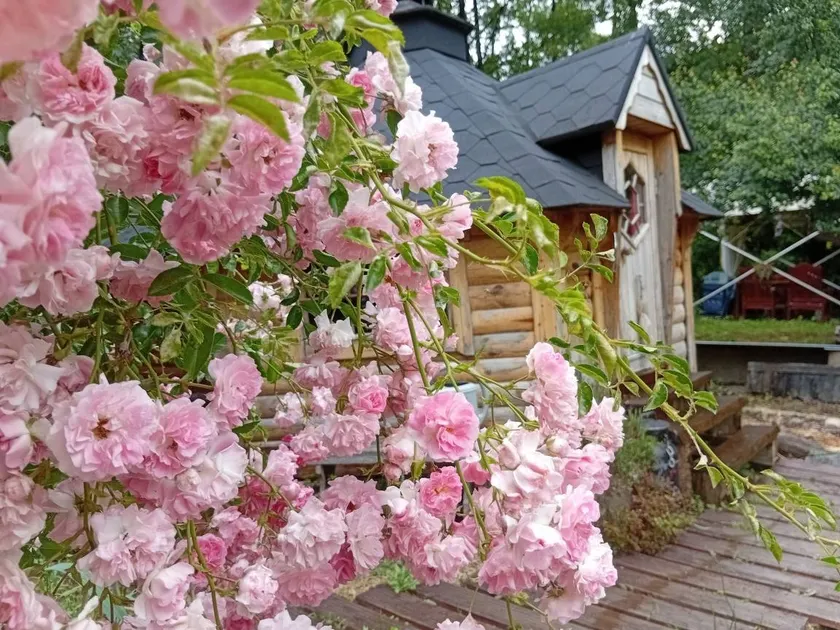 Cabin with BBQ & garden | Lake view - Image 1