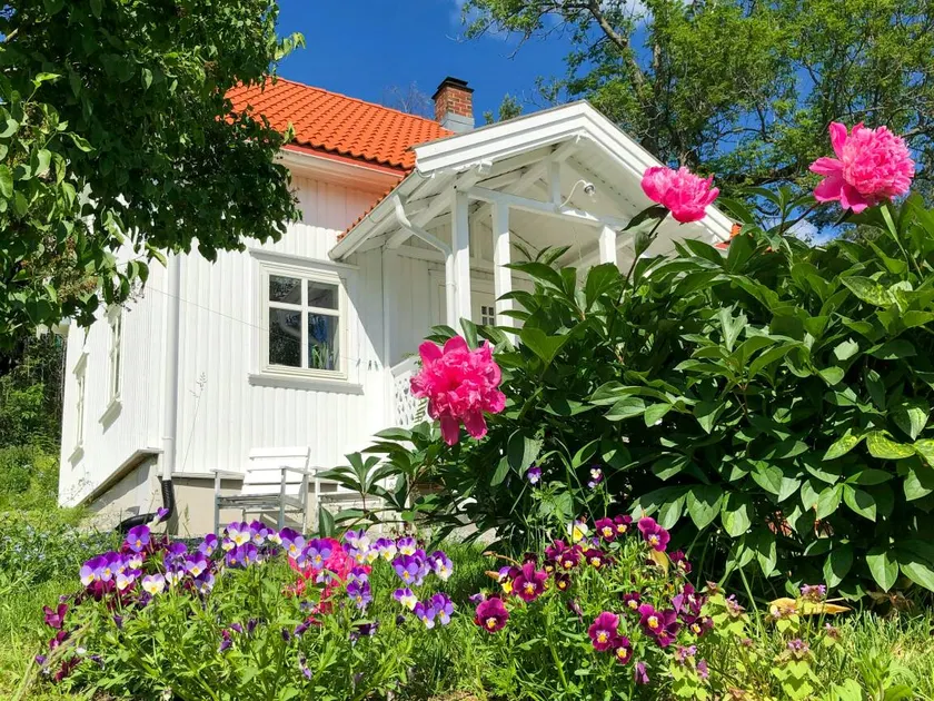Ferienhaus mit Terrasse und Grill - Image 1