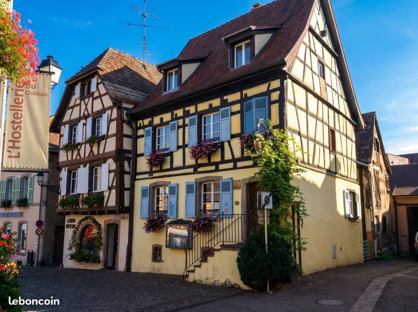 Homerez - Apt camino Eguisheim - Image 1
