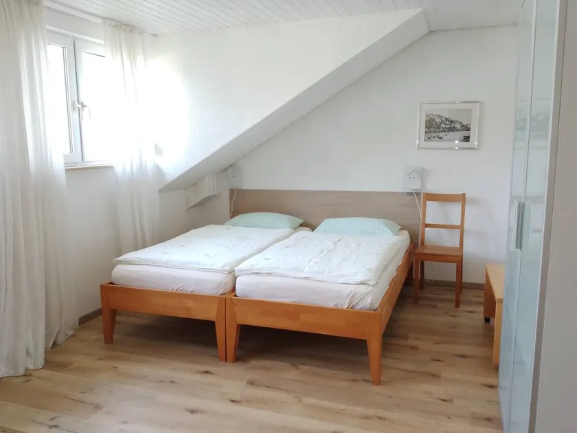 Pleasant holiday apartment with terrace | Garden view | Dogs allowed - Image 1