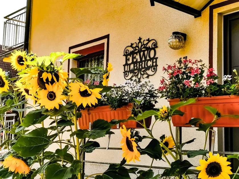Children-friendly holiday home with terrace & barbecue | Nature view | Pet-friendly - Image 1