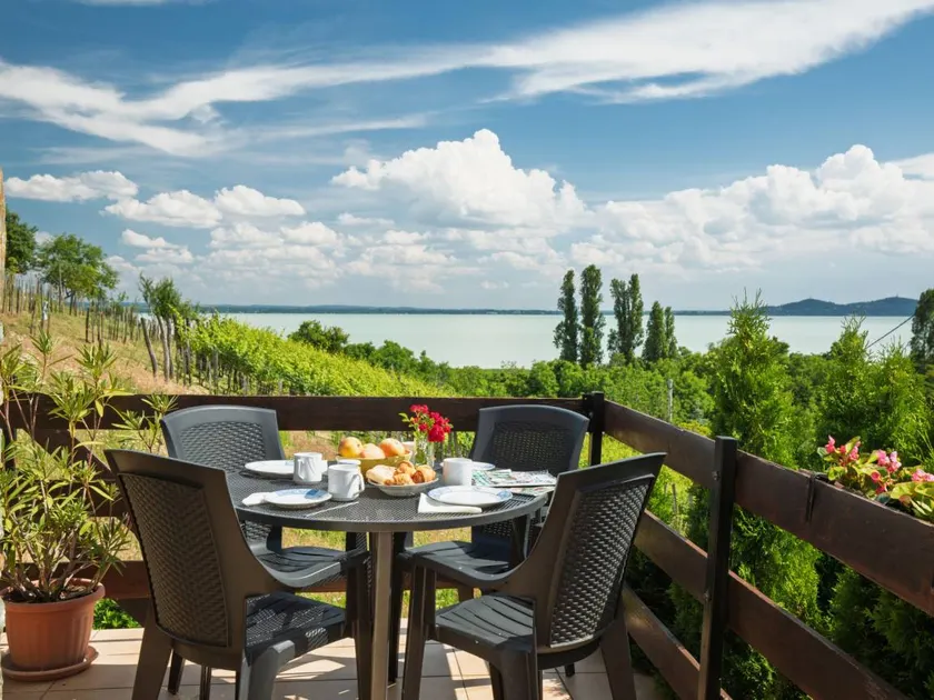 Wonderful house with terrace, garden & barbecue | Lake view - Image 1