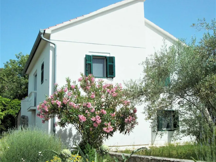 Ferienhaus mit Garten und Grill | Strandblick - Image 1