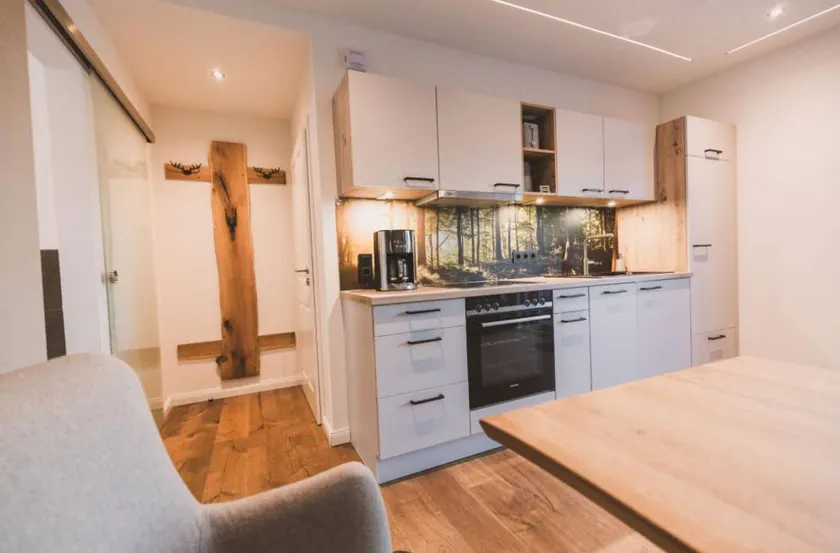 Apartment with sauna, barbecue & garden - Image 1
