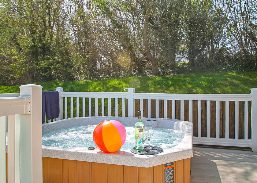 Chalet with hot tub - Image 1