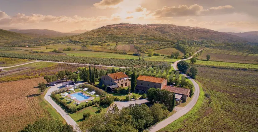Tenuta Il Cicalino: Ceppo 5 - Image 1