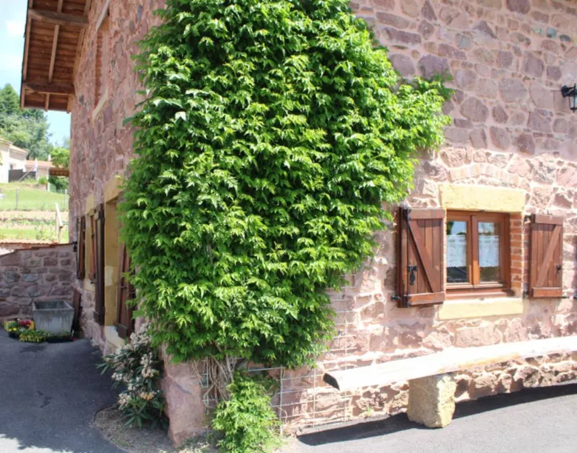 Familienorientiertes tolles Landhaus mit beheiztem Pool, Garten und Terrasse | Gartenblick - Image 1