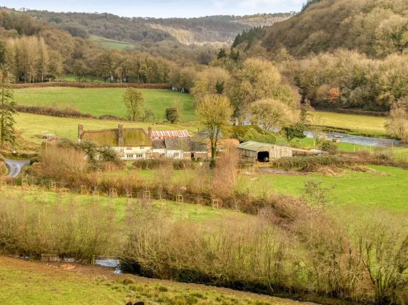 Fully equipped house with garden | Pets are welcome - Image 1