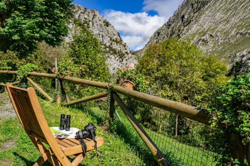 Charmante maison de vacances avec barbecue, terrasse et jardin | Vue montagne | Avec animaux admis - Image 1