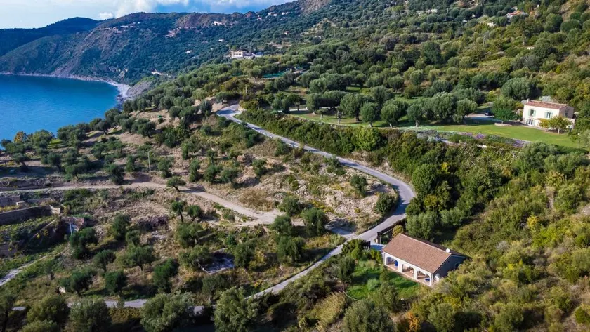Agréable maison de vacances avec jardin, terrasse et barbecue | Vue mer | Proche de la plage | Avec animaux admis - Image 1