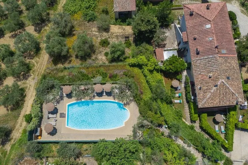 Podere Oliveta: Appartamento Falco - Image 1