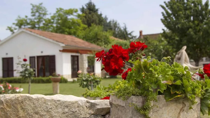House with terrace, barbeque & garden | Next to the beach - Image 1