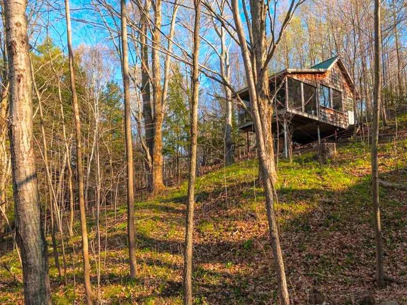 Solar-Powered Tree House in the Canadian Woods near Toronto, Ontario - Image 1