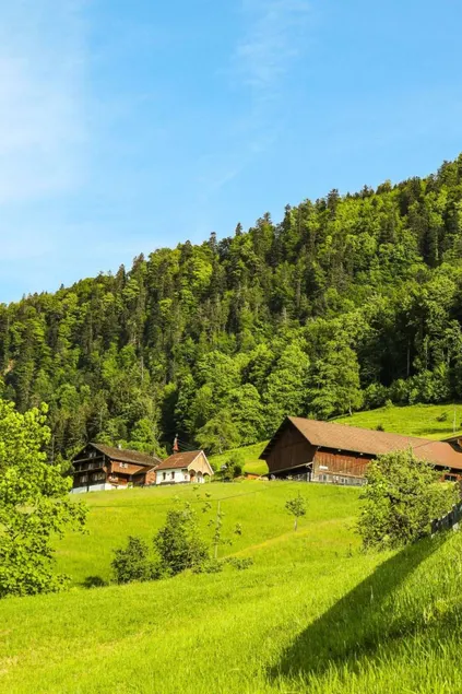 Biohof Langberg in Lauerz - Image 1