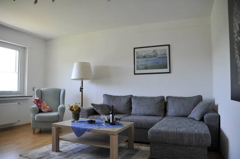 Fully equipped wonderful holiday apartment with garden, pool & barbeque | City view | Pets allowed - Image 1