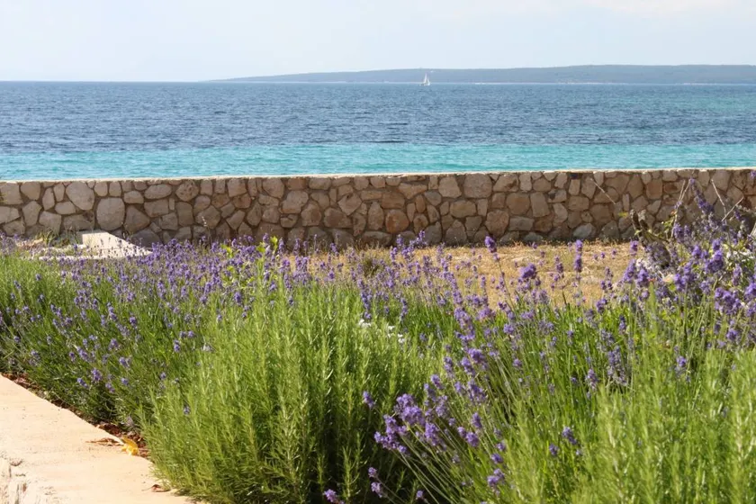 Flat with terrace | Sea view - Image 1