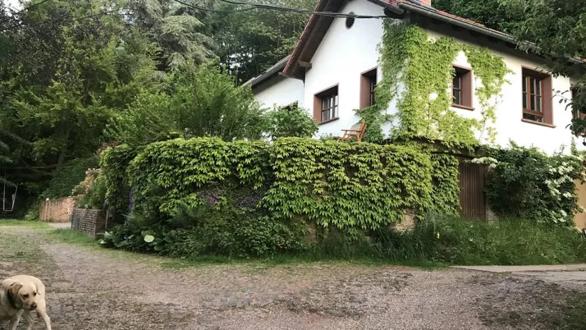 Appartement avec jardin, barbecue et terrasse - Image 1