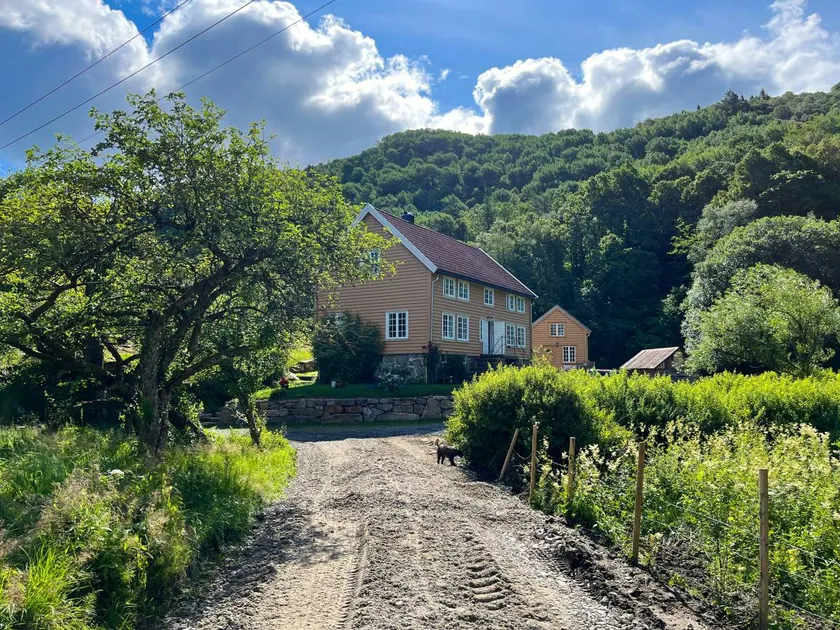 Familienfreundliches wunderschönes Ferienhaus mit Terrasse | Hunde erlaubt - Image 1