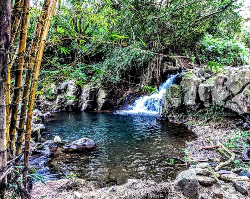 Stunning Cabin Rental near the Waipio Valley, Hawaii - Image 1