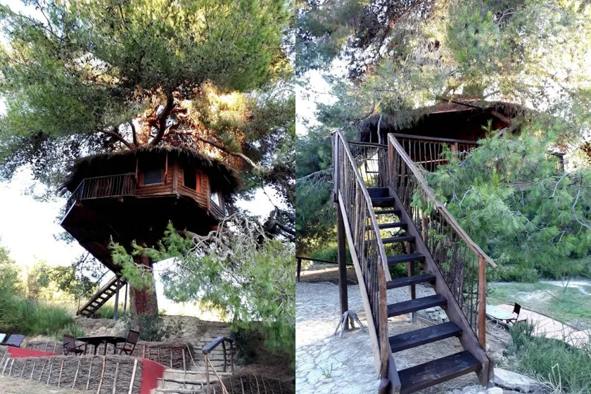 Eco-Friendly Tree House in the Peloponnisos Valley of Greece - Image 1