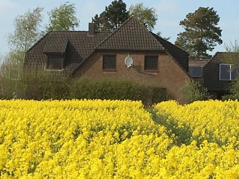 Zwischen Den Feldern - Image 1