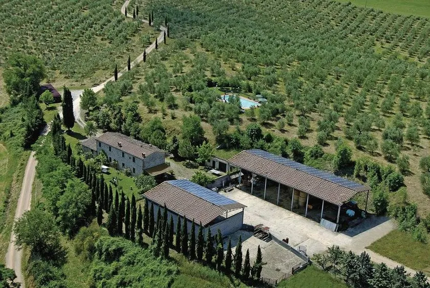 Agriturismo Tabiano-Mezzapiaggia: Appartamento Il Mulino - Image 1