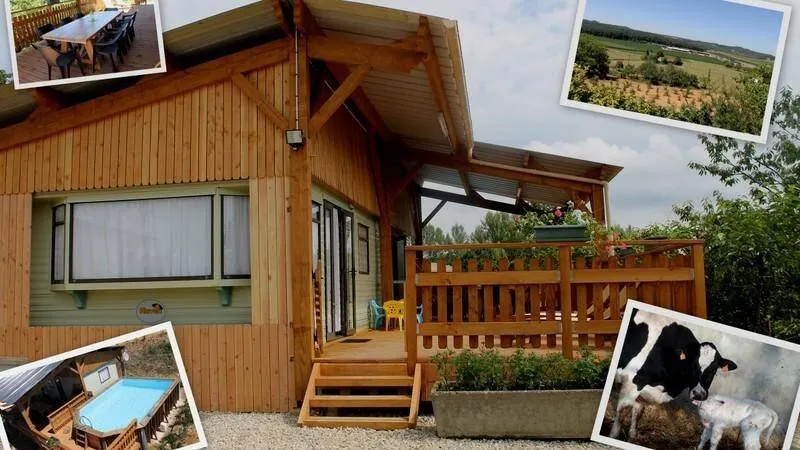 Chalet con barbecue | Ammette cani - Image 1