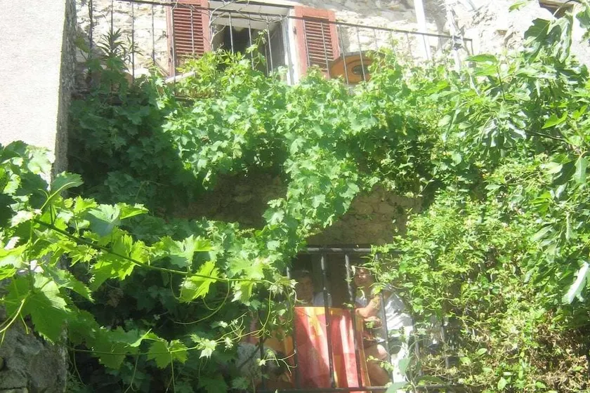 Nice house with terrace, garden & barbeque | Pets are welcome - Image 1